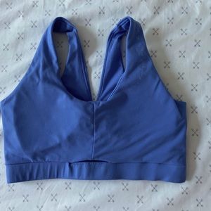 Whitney Simmons Gymshark v1 bra
